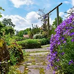 Vakantiehuis Onder De Oude Eik