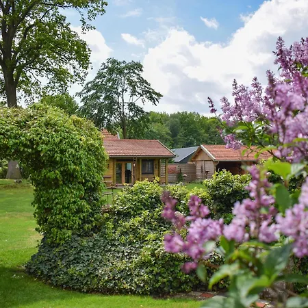 Tatil Evi Onder De Oude Eik Lottum