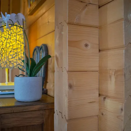 Dom wakacyjny Onder De Oude Eik *